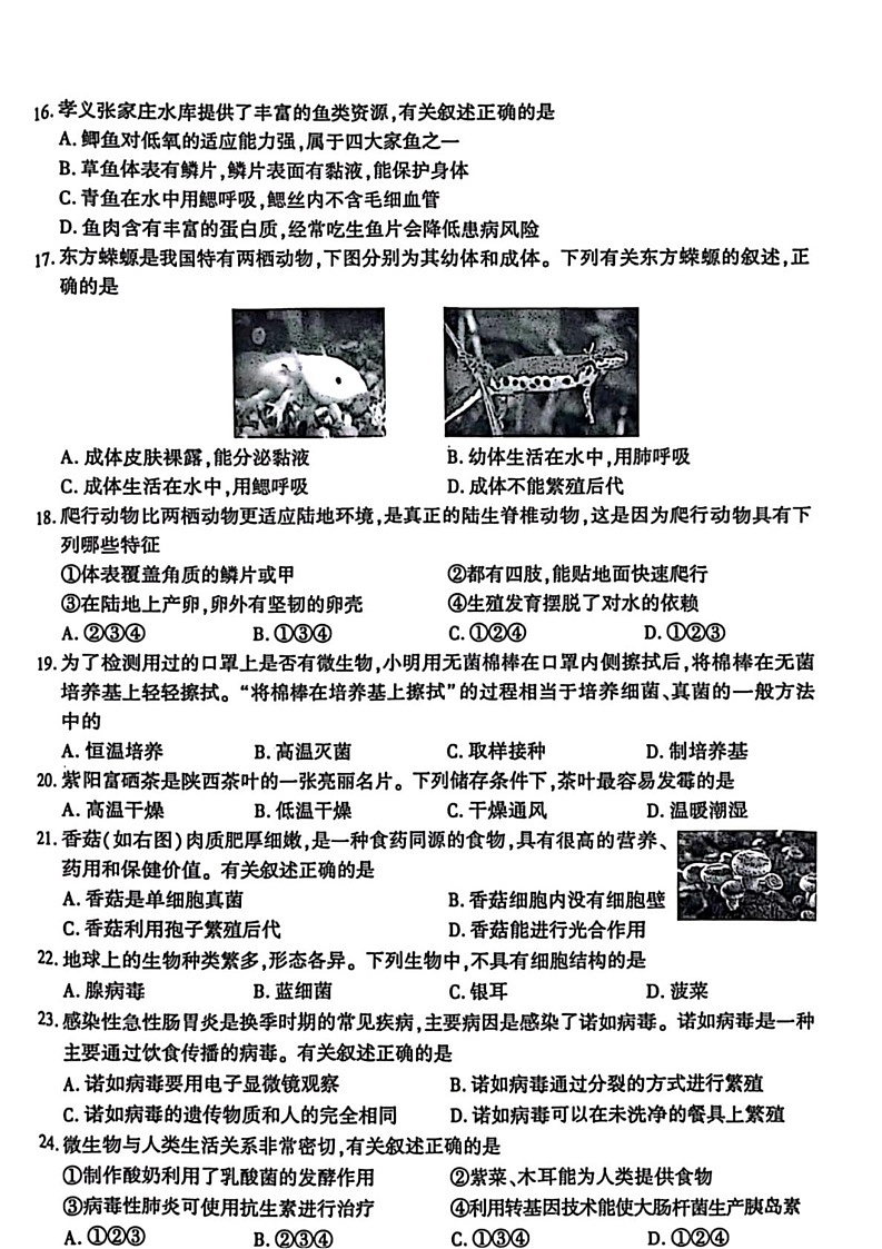 陕西省渭南市澄城县2024-2025学年七年级上学期1月期末生物试题第3页