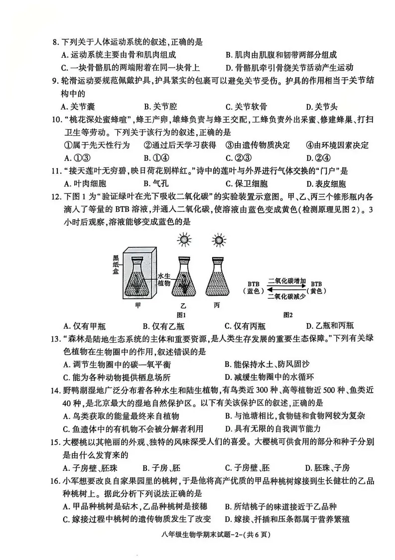 陕西省渭南市富平县2024-2025学年八年级上学期期末质量检测试题生物试卷第2页