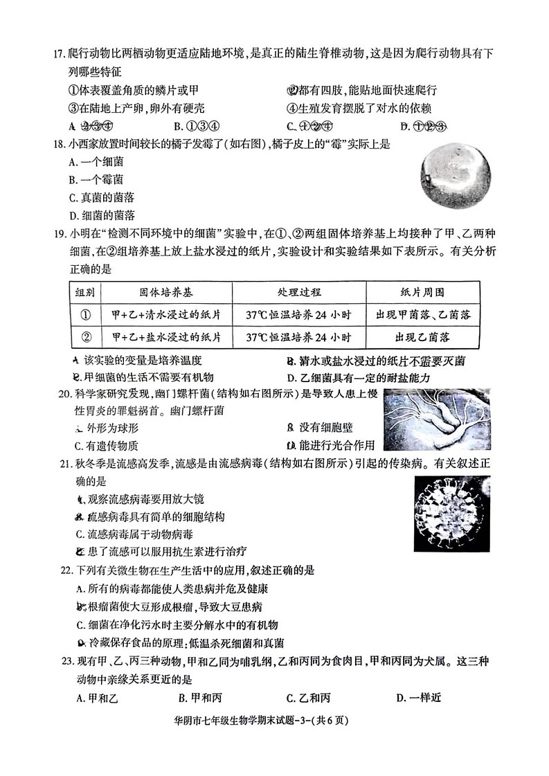 陕西省华阴市2024-2025学年七年级上学期期末测试生物试卷第3页