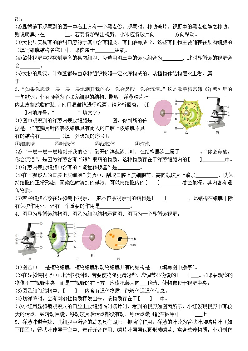 山东2026七年级上册生物期末专题复习（带答案）专题精练：第一单元++生物和细胞第3页