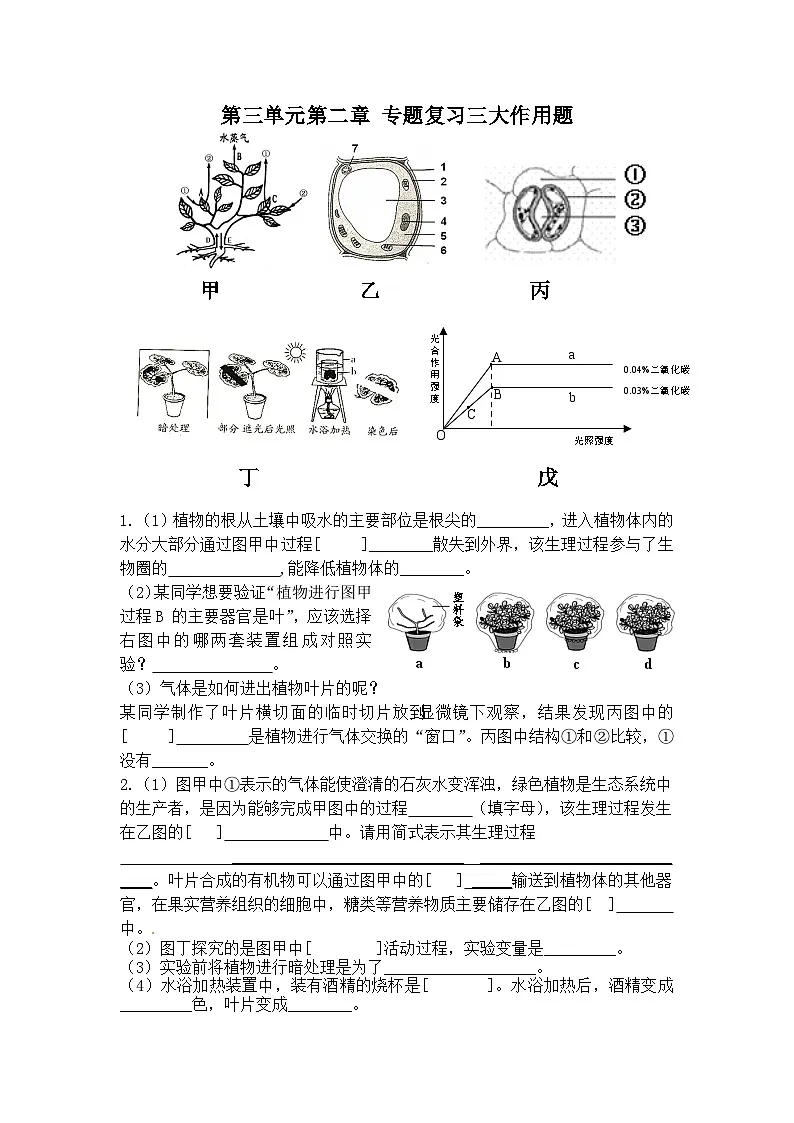 2026年生物中考复习练习：专题复习++植物的三大作用第1页