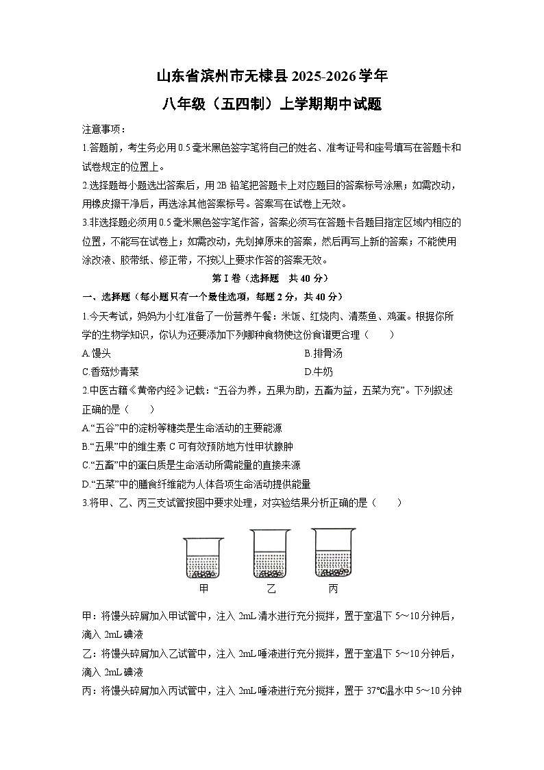 山东省滨州市无棣县2025-2026学年八年级（五四制）上学期期中生物试卷（学生版）第1页
