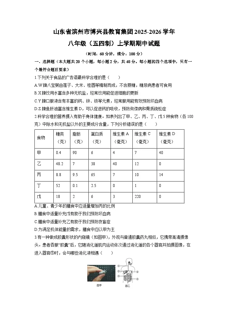 山东省滨州市博兴县教育集团2025-2026学年八年级（五四制）上学期期中生物试卷（学生版）第1页