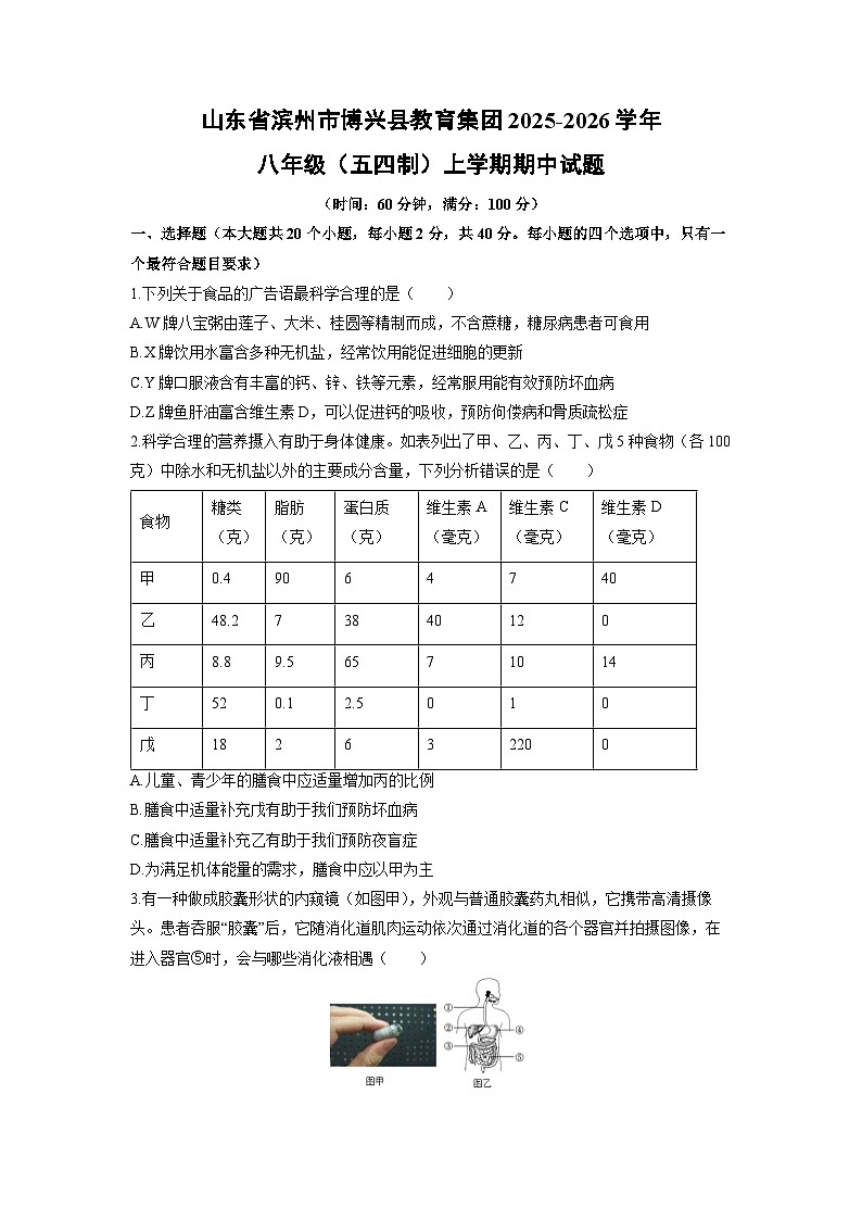 山东省滨州市博兴县教育集团2025-2026学年八年级（五四制）上学期期中生物试卷（学生版）第1页
