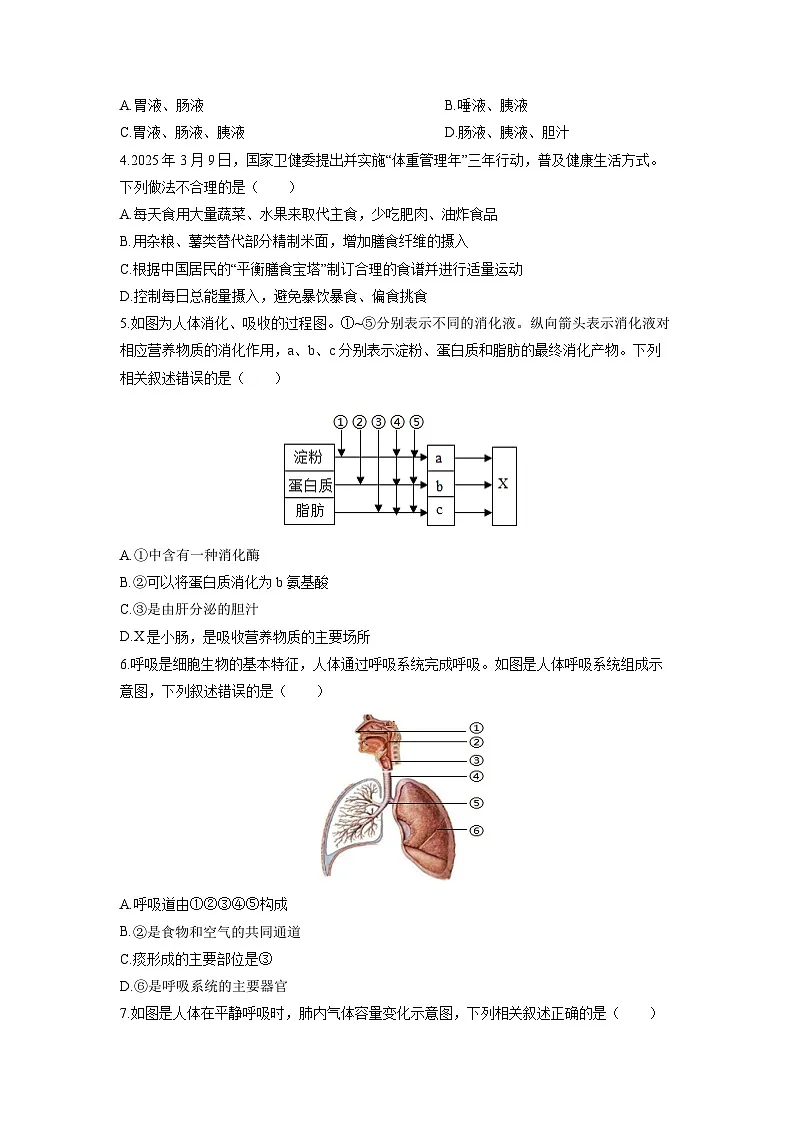 山东省滨州市博兴县教育集团2025-2026学年八年级（五四制）上学期期中生物试卷（学生版）第2页