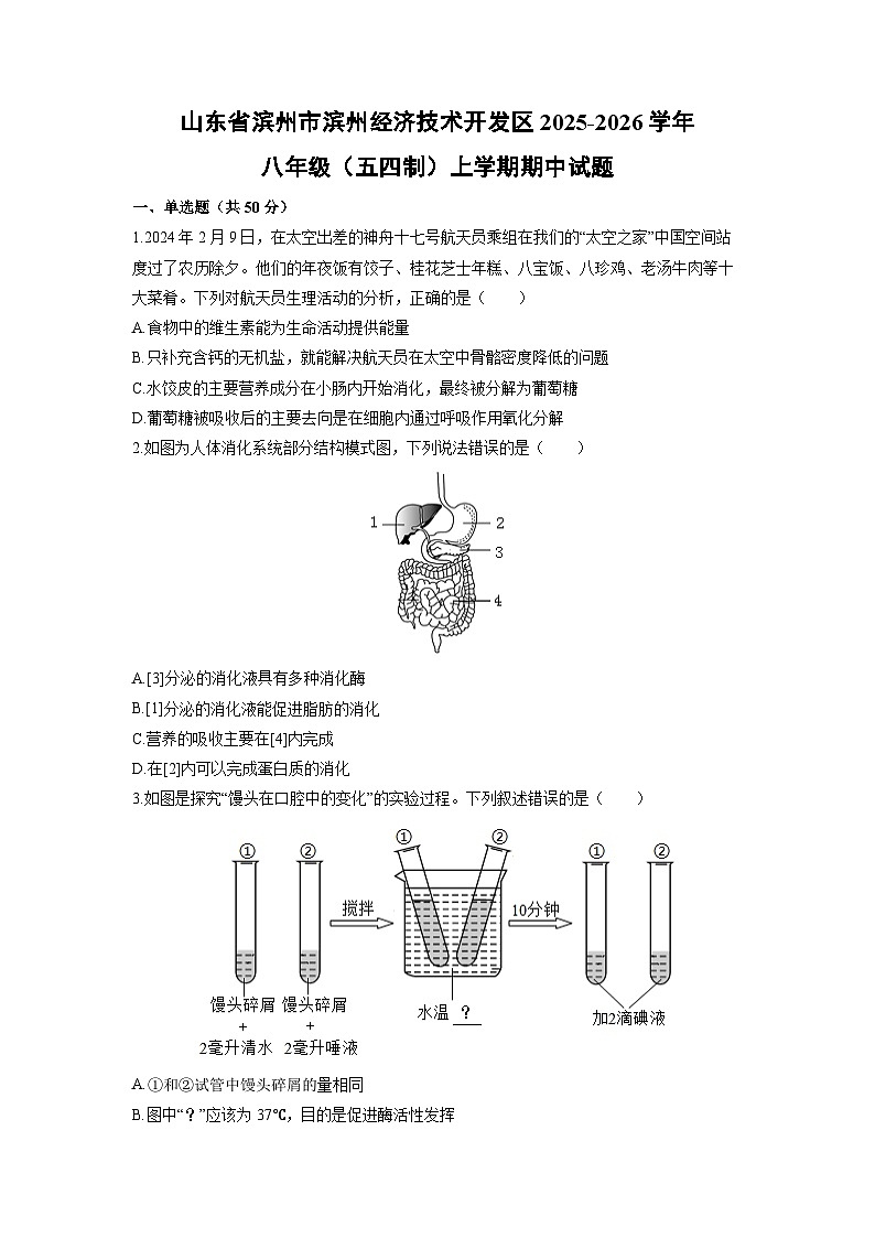 山东省滨州市滨州经济技术开发区2025-2026学年八年级（五四制）上学期期中生物试卷第1页