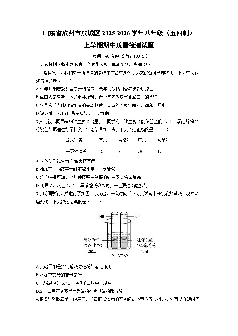 山东省滨州市滨城区2025-2026学年八年级（五四制）上学期期中质量检测生物试卷（学生版）第1页
