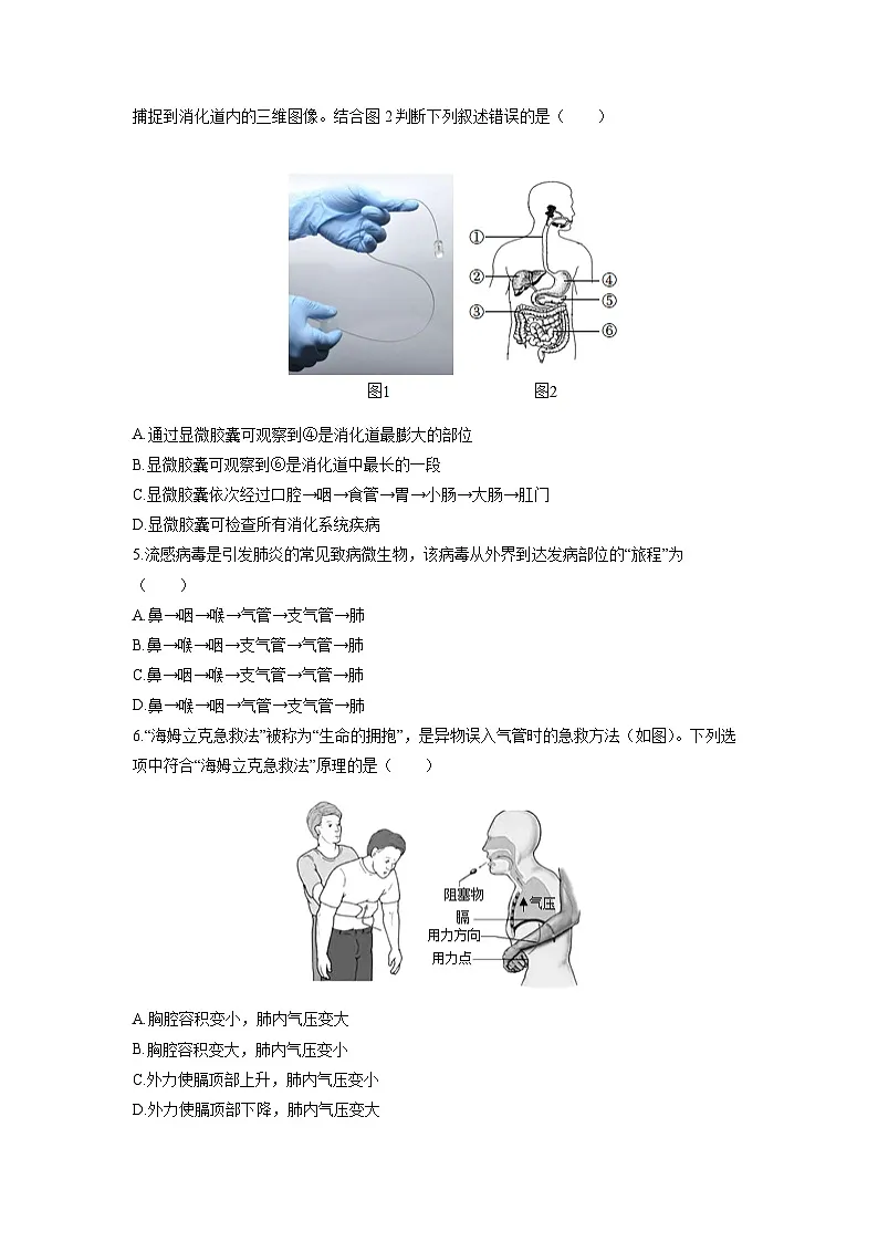 山东省滨州市滨城区2025-2026学年八年级（五四制）上学期期中质量检测生物试卷（学生版）第2页