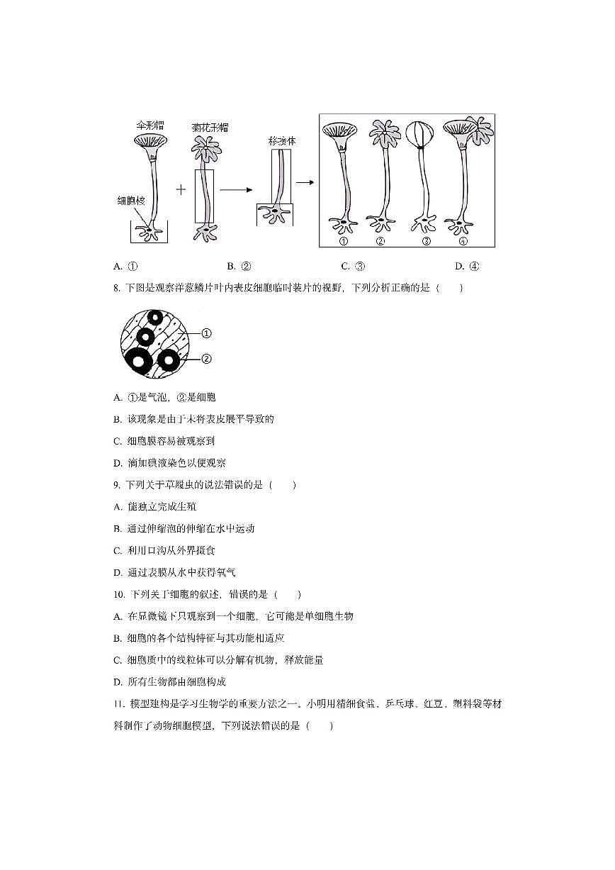 河南省新乡市辉县市2025-2026学年七年级上学期期中生物试卷（学生版）第3页