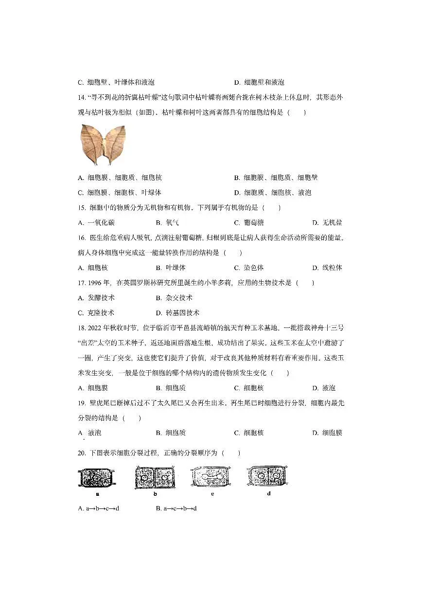 湖南省长沙市宁乡市宁乡期中联考2025-2026学年七年级上学期期中生物试卷（学生版）第3页
