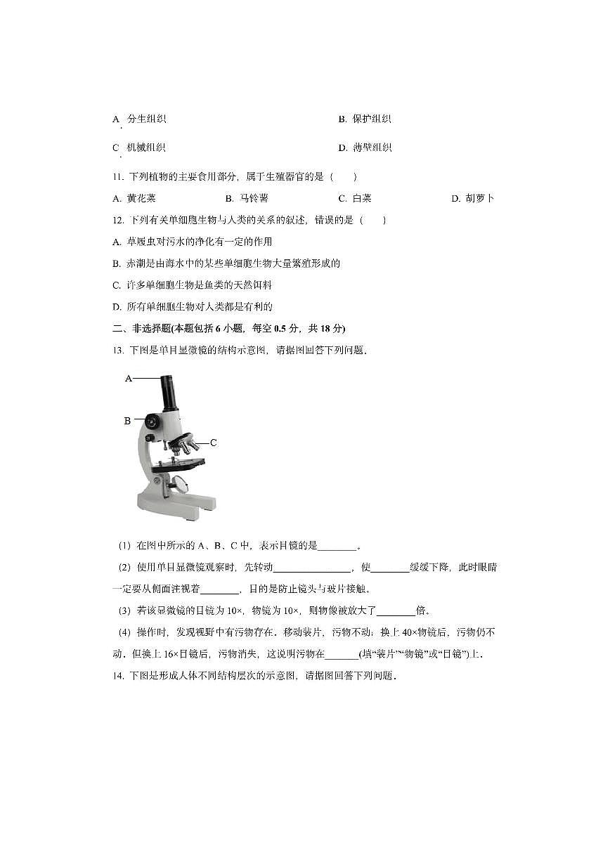辽宁省盘锦市大洼区联考2025-2026学年七年级上学期期中生物试卷（学生版）第3页