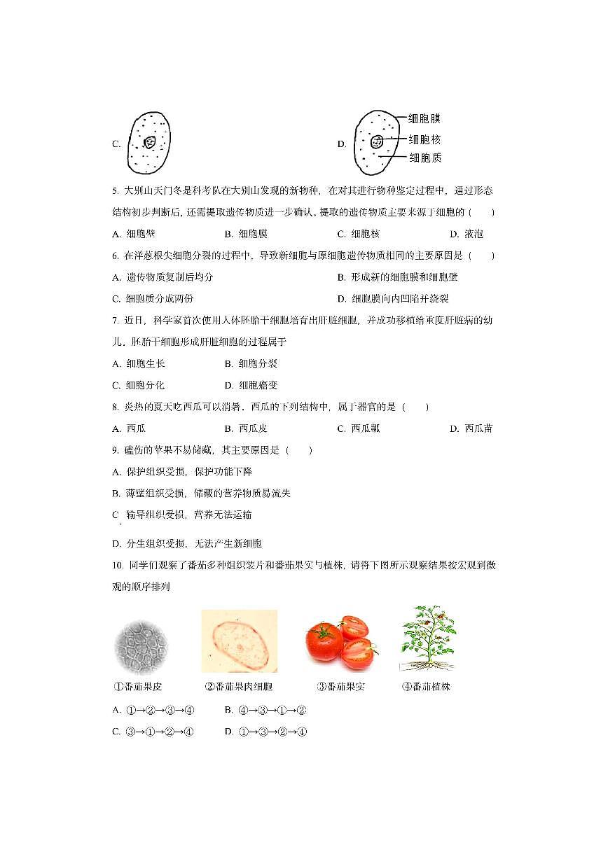 内蒙古包头市青山区2025-2026学年七年级上学期期中生物试卷（学生版）第2页