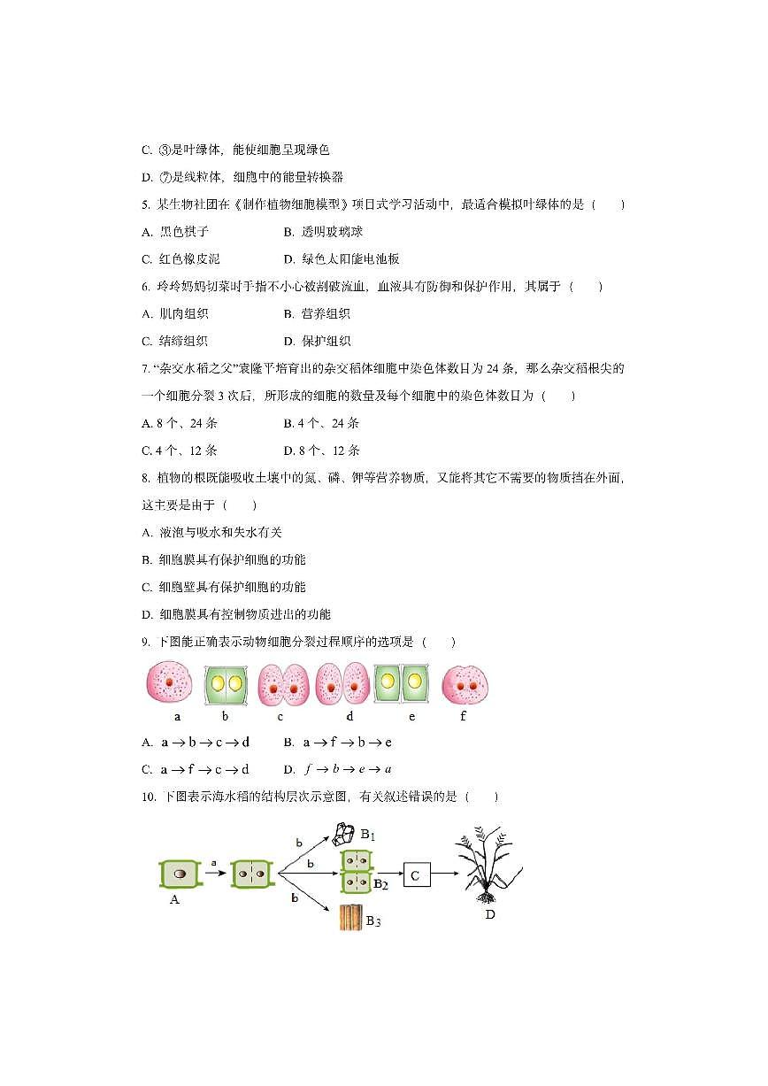 山东省聊城市高唐县2025-2026学年七年级上学期期中生物试卷（学生版）第2页