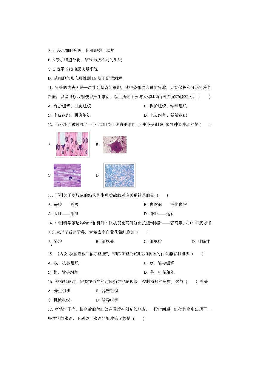 山东省聊城市高唐县2025-2026学年七年级上学期期中生物试卷（学生版）第3页