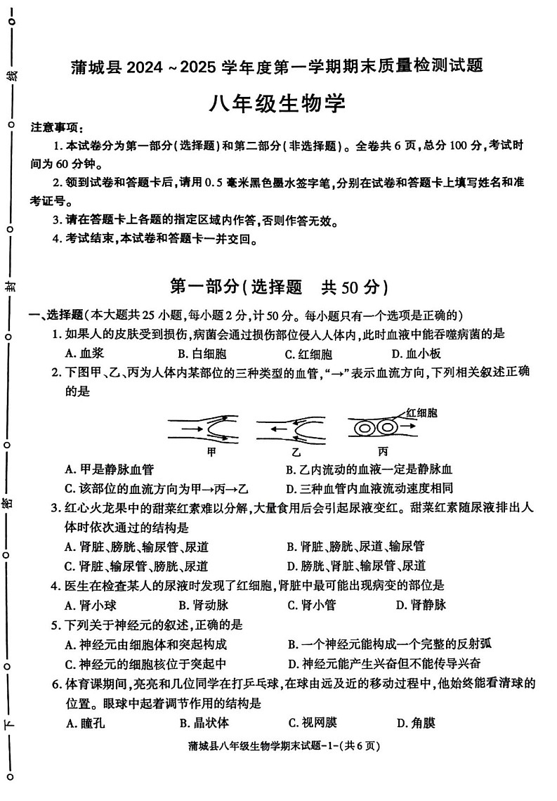 陕西省渭南市蒲城县2024-2025学年八年级上学期1月期末生物试题第1页