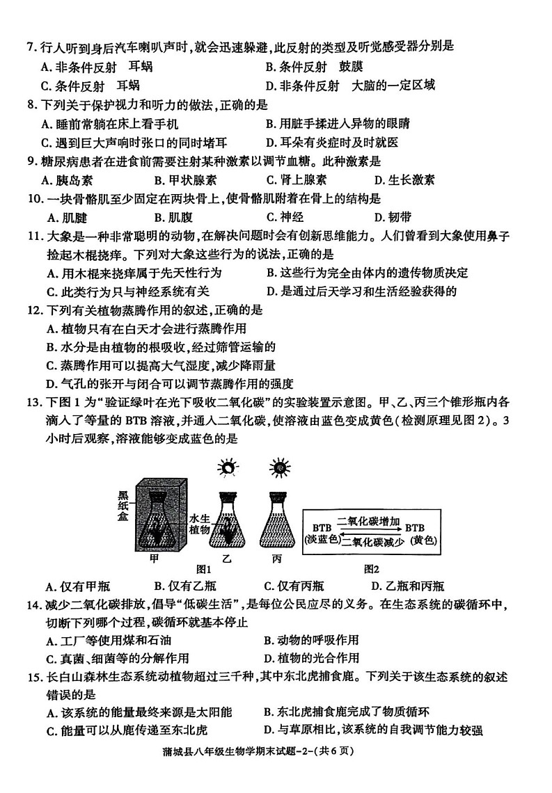 陕西省渭南市蒲城县2024-2025学年八年级上学期1月期末生物试题第2页