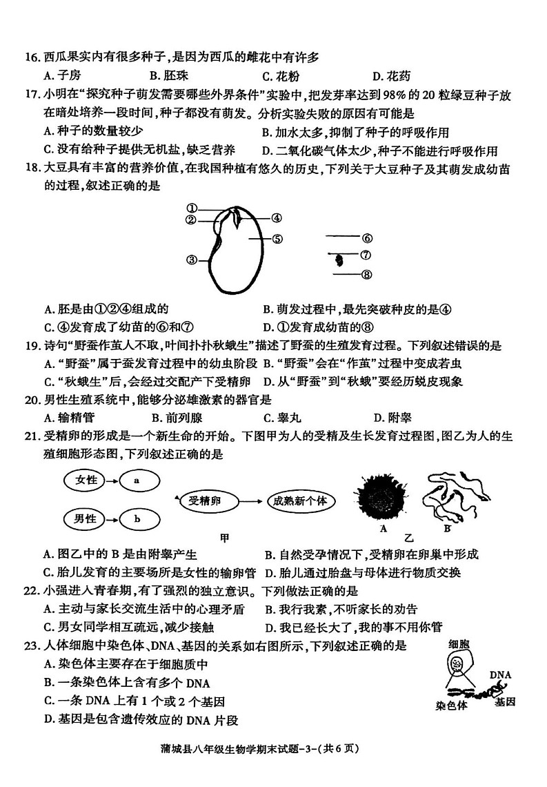 陕西省渭南市蒲城县2024-2025学年八年级上学期1月期末生物试题第3页