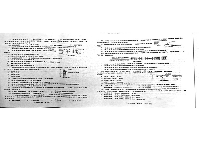 陕西省西安市鄠邑区2024-2025学年七年级上学期1月期末生物试题第2页