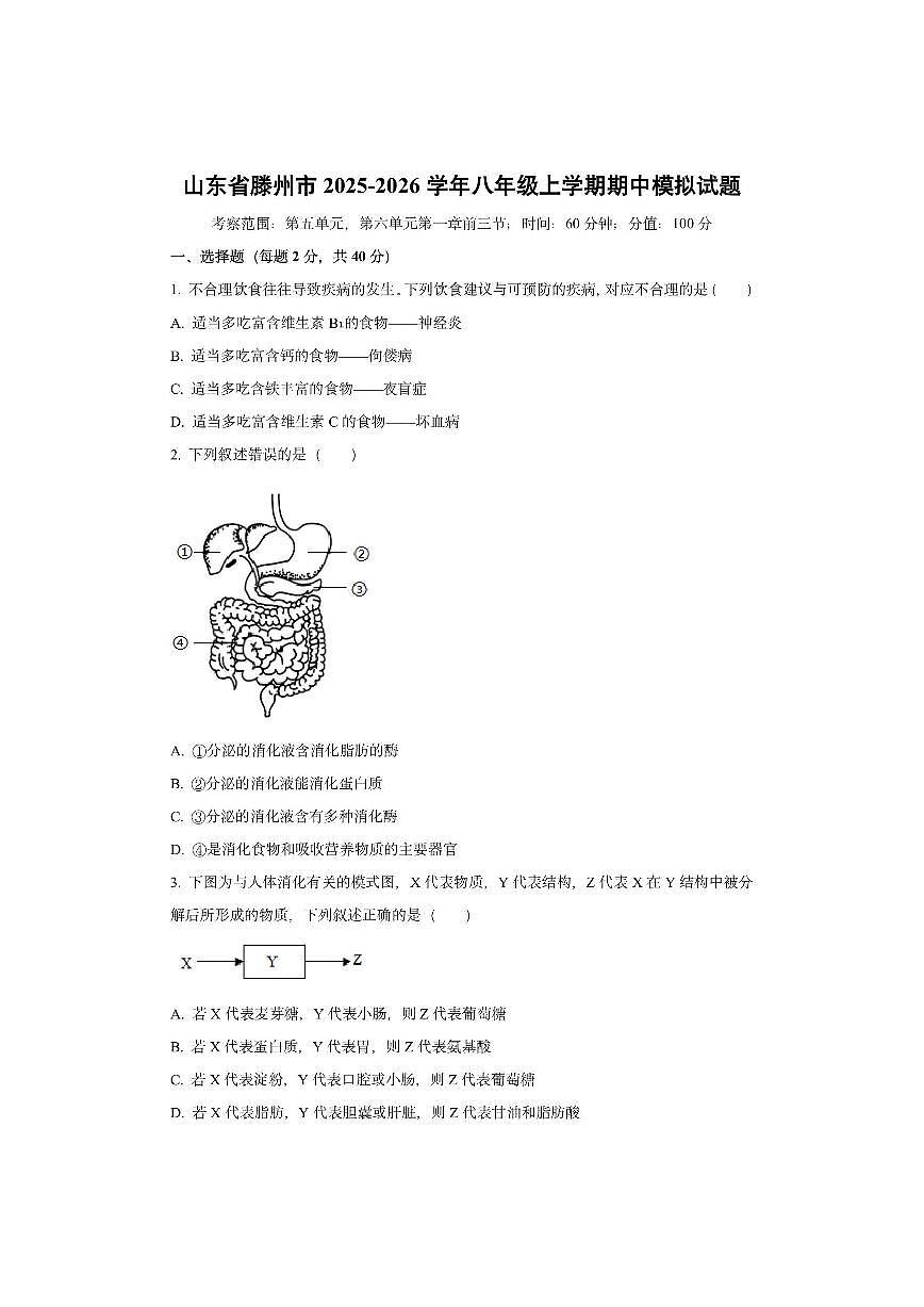 山东省滕州市2025-2026学年八年级上学期期中模拟生物试卷（学生版）第1页