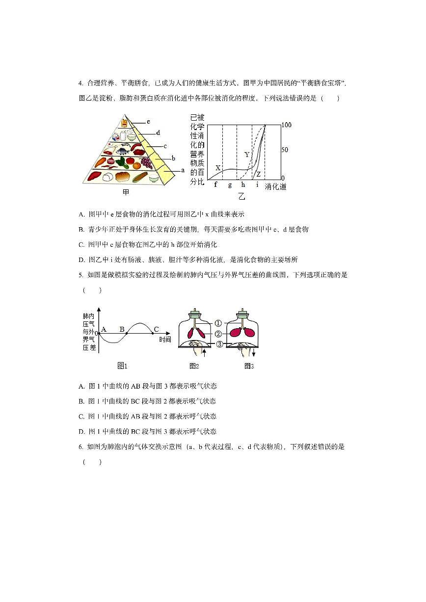 山东省滕州市2025-2026学年八年级上学期期中模拟生物试卷（学生版）第2页