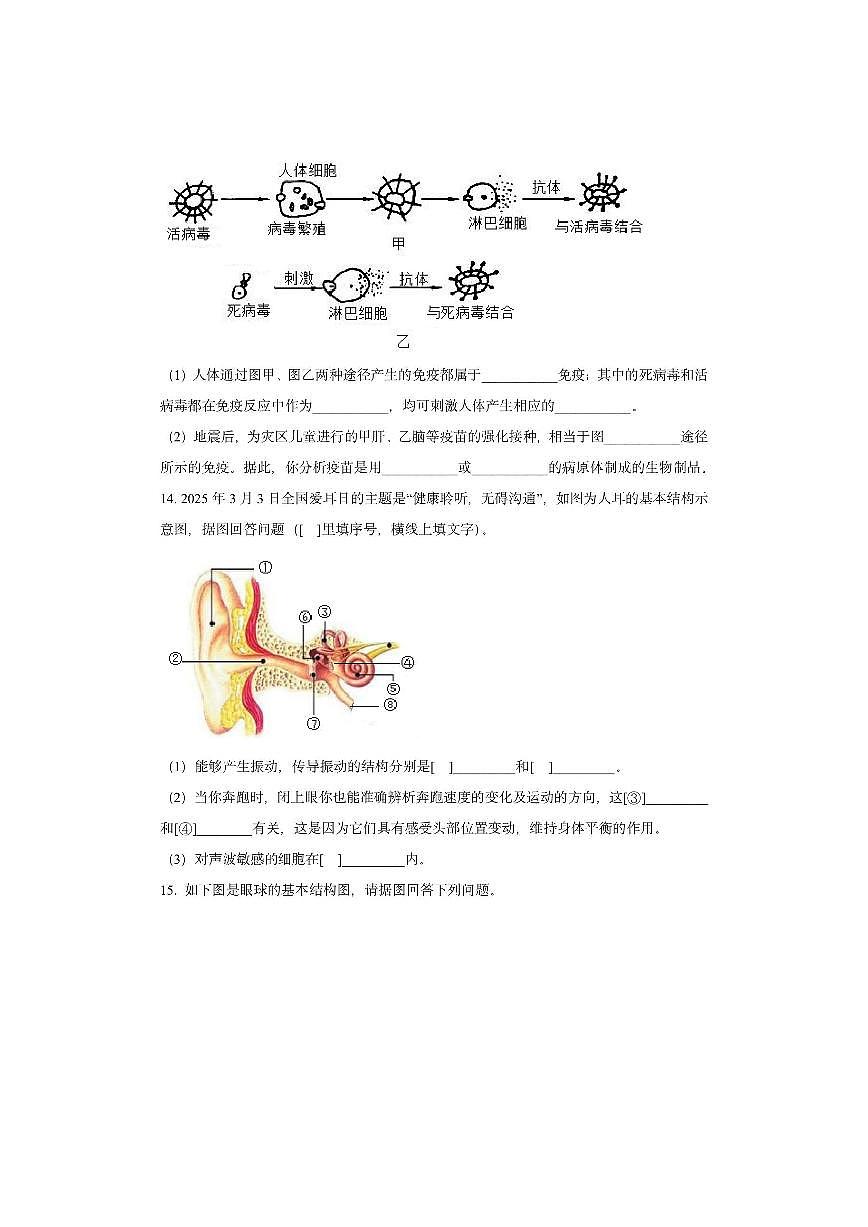 辽宁省铁岭市昌图县2025-2026学年八年级上学期期中生物试卷（学生版）第3页