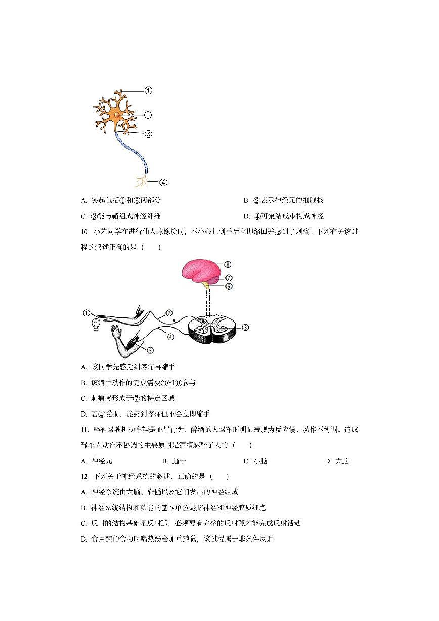 天津市河西区2025-2026学年八年级上学期期中生物试卷（学生版）第3页