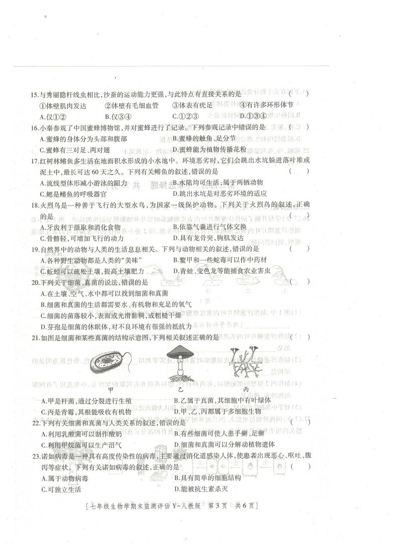 陕西省榆林市榆阳区2024-2025学年七年级上学期1月期末生物试题第3页