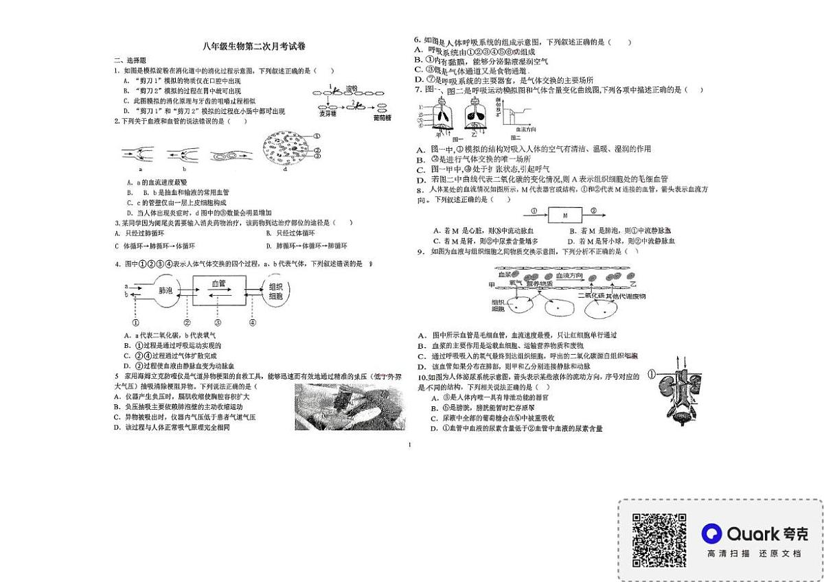 江苏省徐州市邳州市邳城镇泇口中学2025-2026学年八年级上学期12月月考生物试题第1页