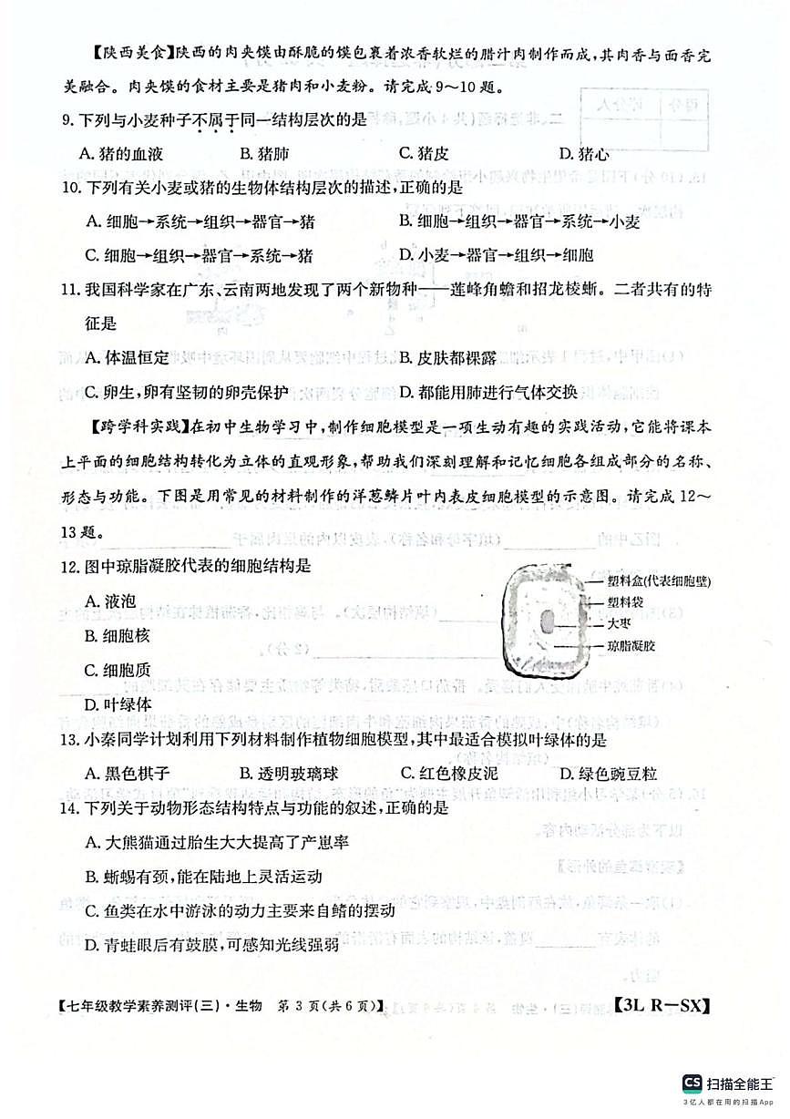 陕西省西安市高陵区第四中学2025-2026学年八年级上学期第三次月考生物试卷第3页