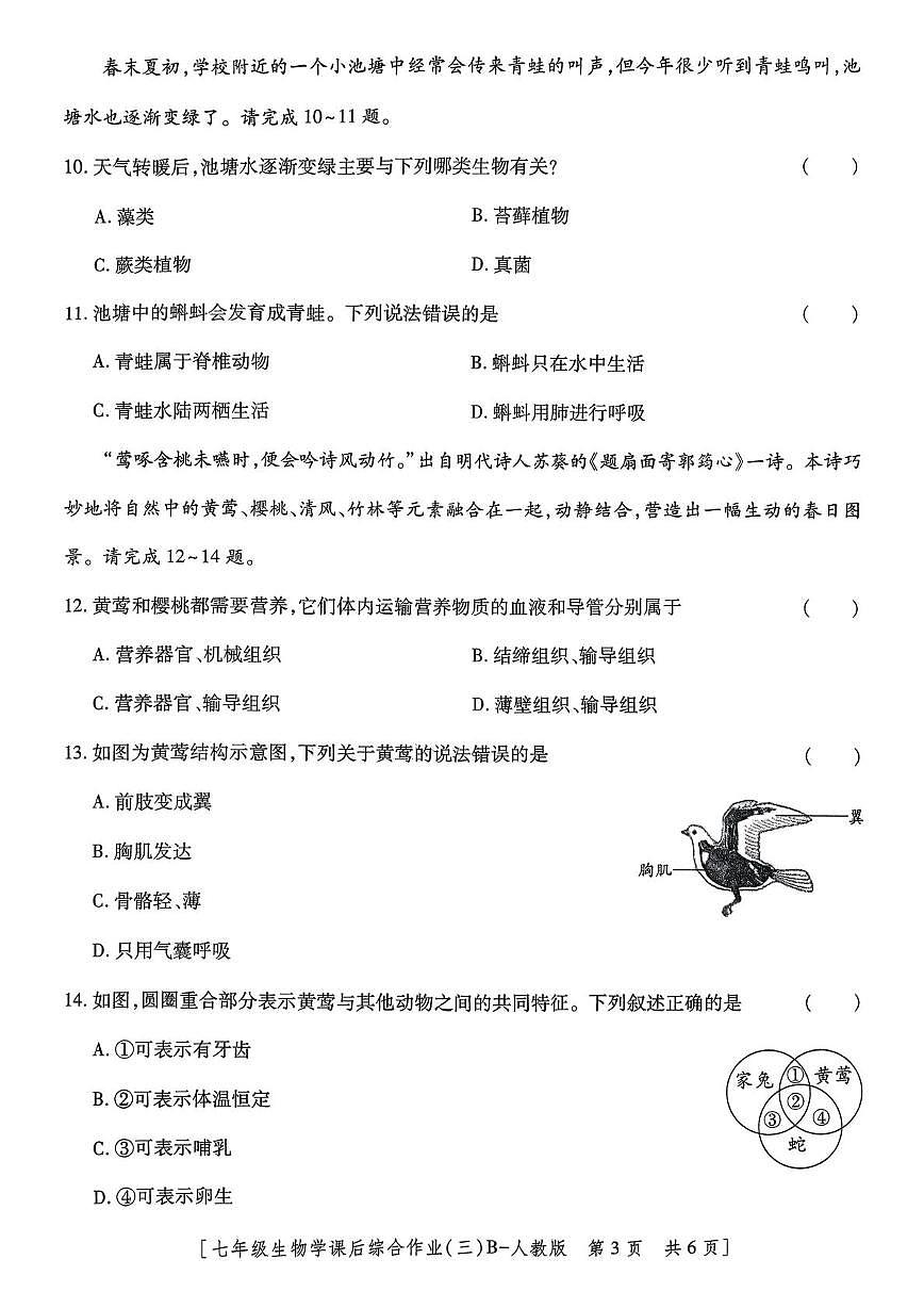 陕西省咸阳市秦都区咸阳彩虹学校2025-2026学年七年级上学期12月月考生物试题第3页