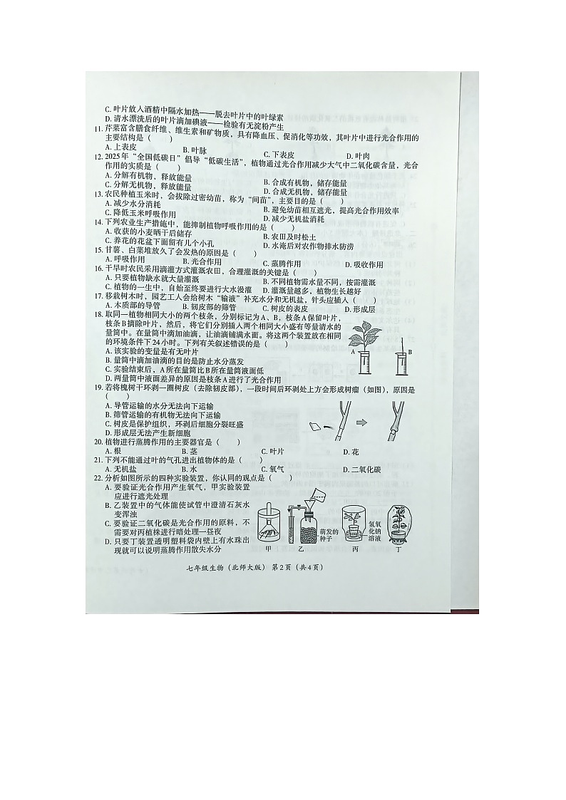 部编版初中生物七上12月份月考试卷第2页