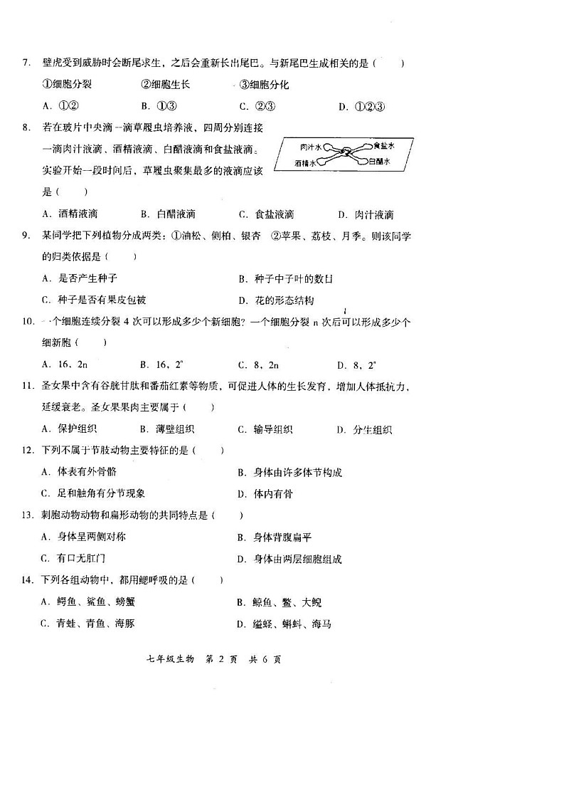 四川省德阳市旌阳区2024-2025学年七年级上学期期末考试生物试题第2页