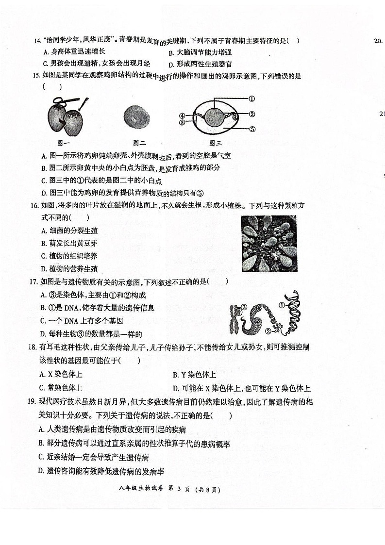 四川省成都市温江区2024-2025学年八年级上学期1月期末生物试题第3页