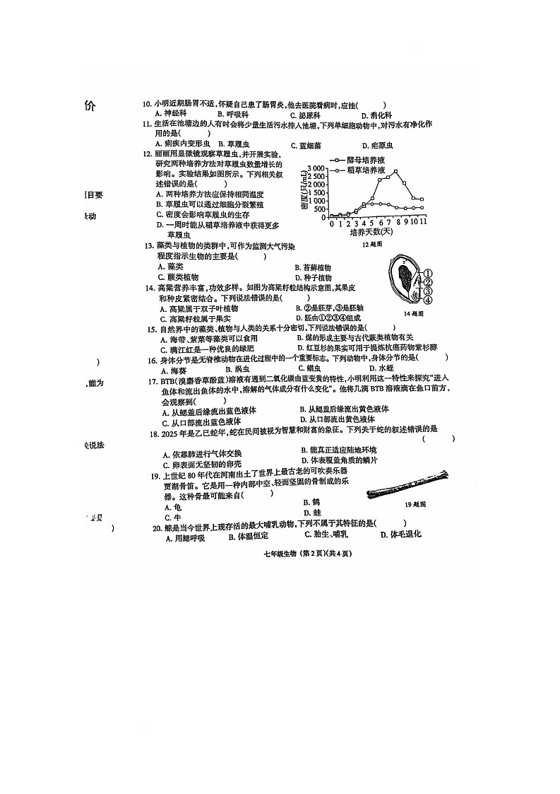 河南省新乡市封丘县城关镇初级中学2025-2026学年七年级上学期第三次学习评价生物试卷（月考）第2页