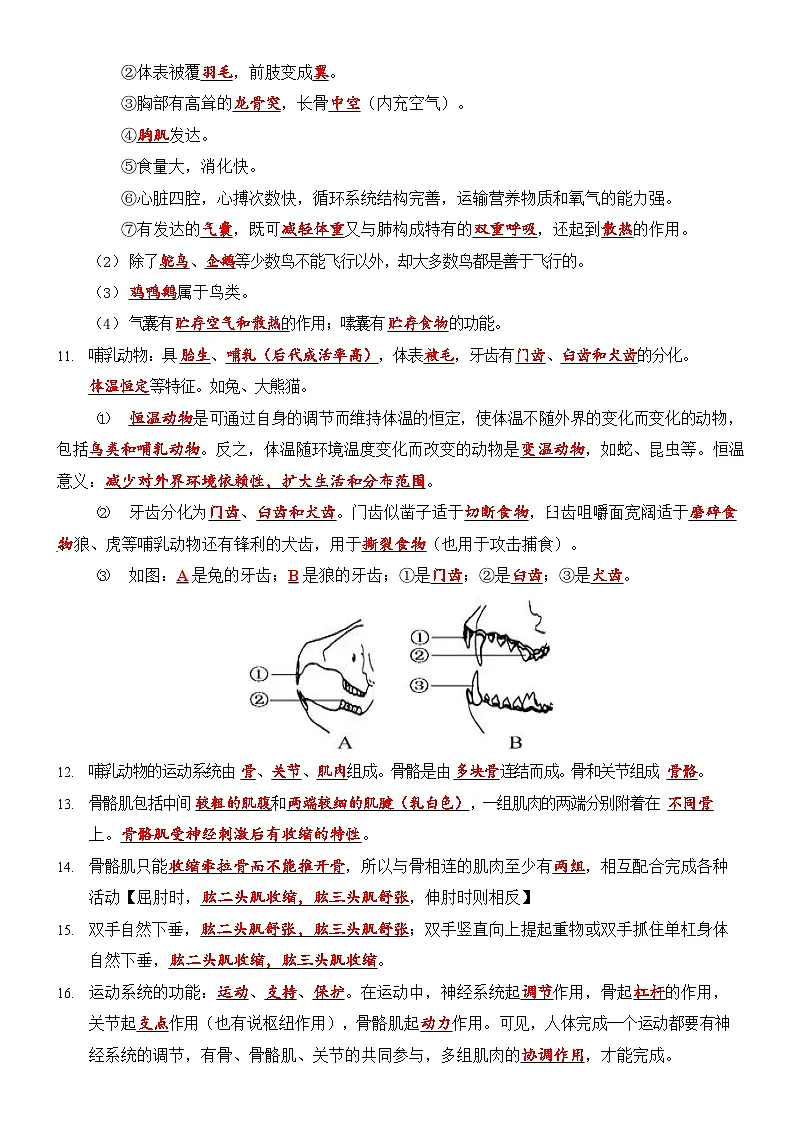 八年级上册生物89个必背知识填空练习（含答案）第3页