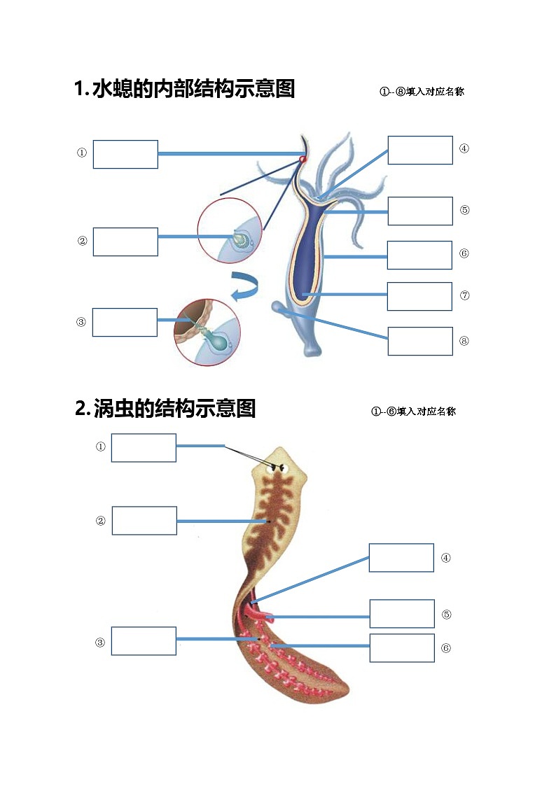 八年级上学期生物20个重点图学案（含答案）第1页
