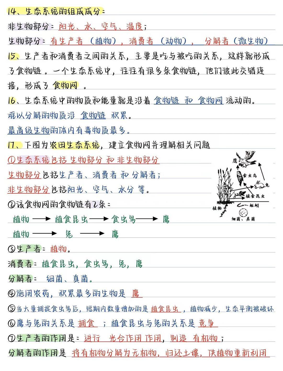 2024版人教版七年级上册生物期末高频常考核心必背知识点汇总第3页