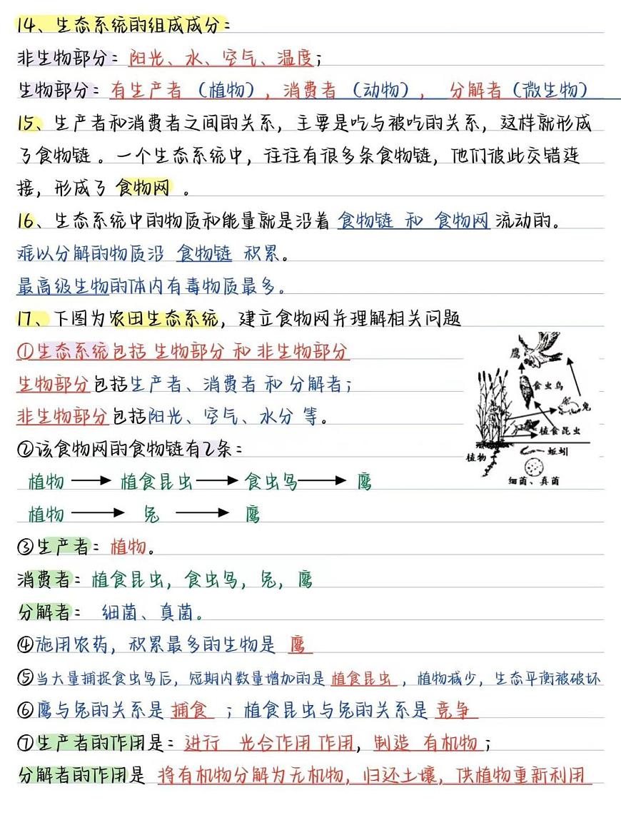 2024版人教版七年级上册生物期末高频常考核心必背知识点汇总第3页