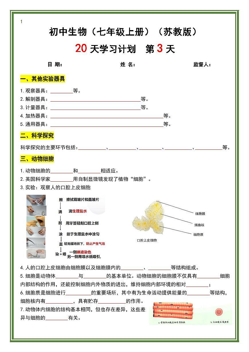 2024版苏教版七年级上册生物期末知识点20天计划第3页