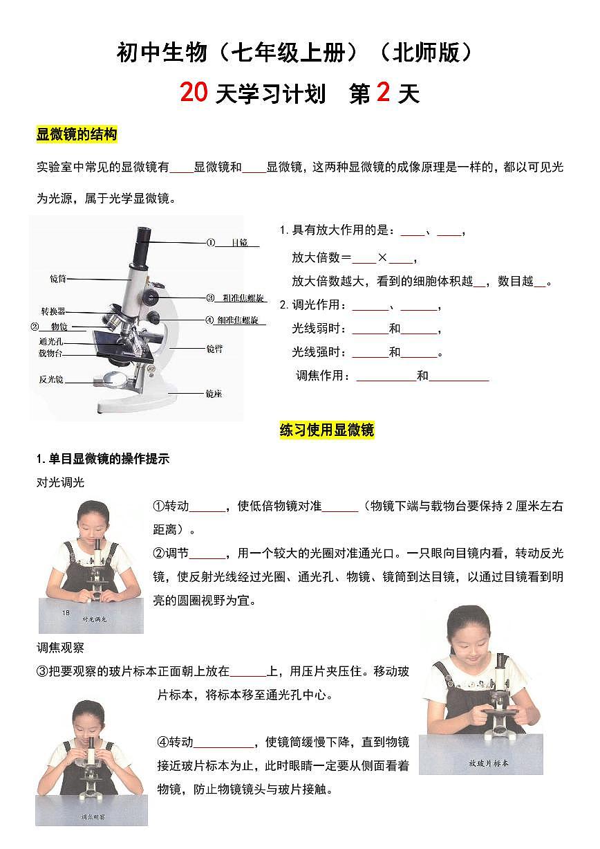 2024版北师版七年级上册生物期末知识点复习20天计划第2页