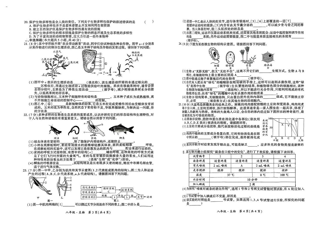新疆吐鲁番市2024-2025学年八年级上学期期末检测生物试卷第2页