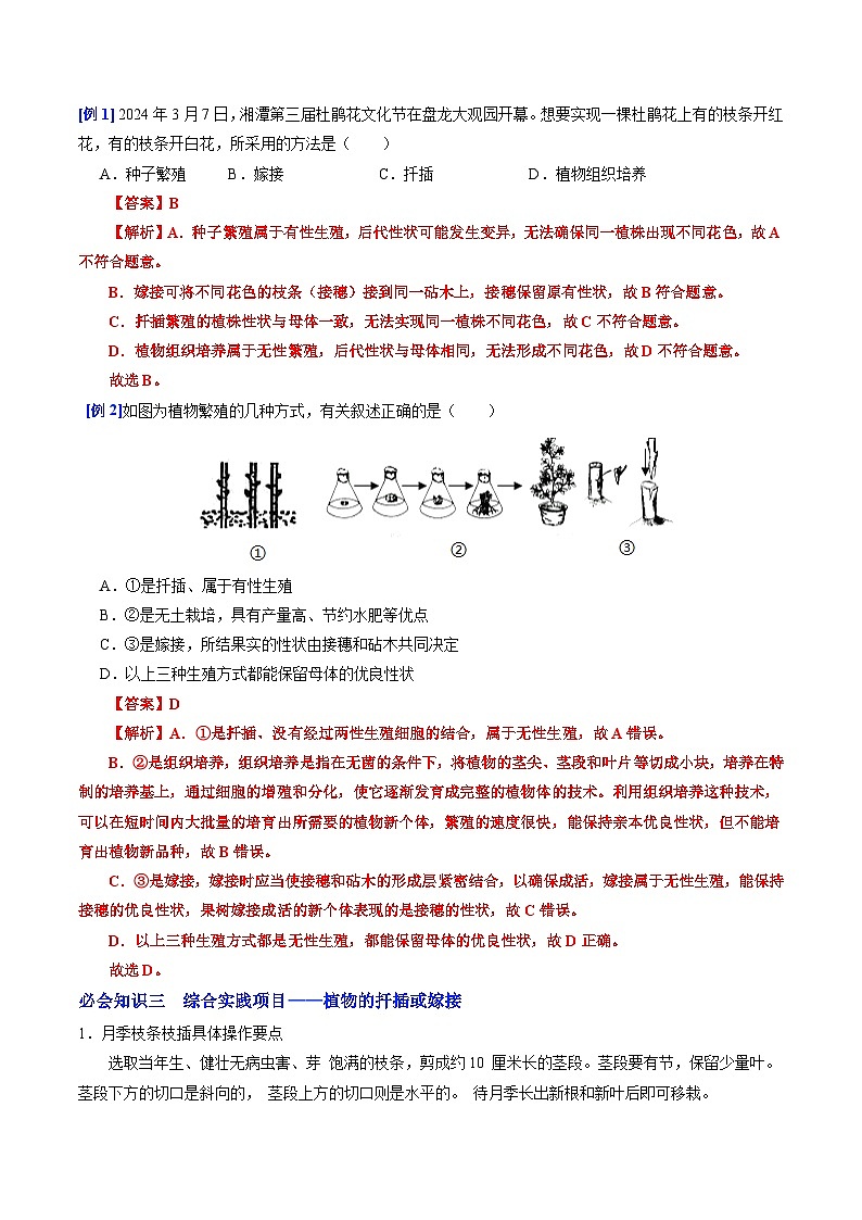 6.1.1 无性生殖（提升讲义）（解析版）第3页