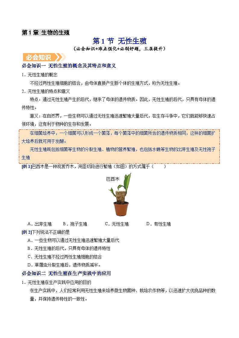 6.1.1 无性生殖（提升讲义）（原卷版）第1页