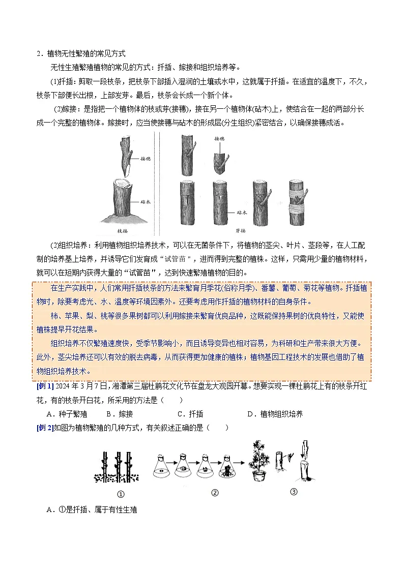 6.1.1 无性生殖（提升讲义）（原卷版）第2页