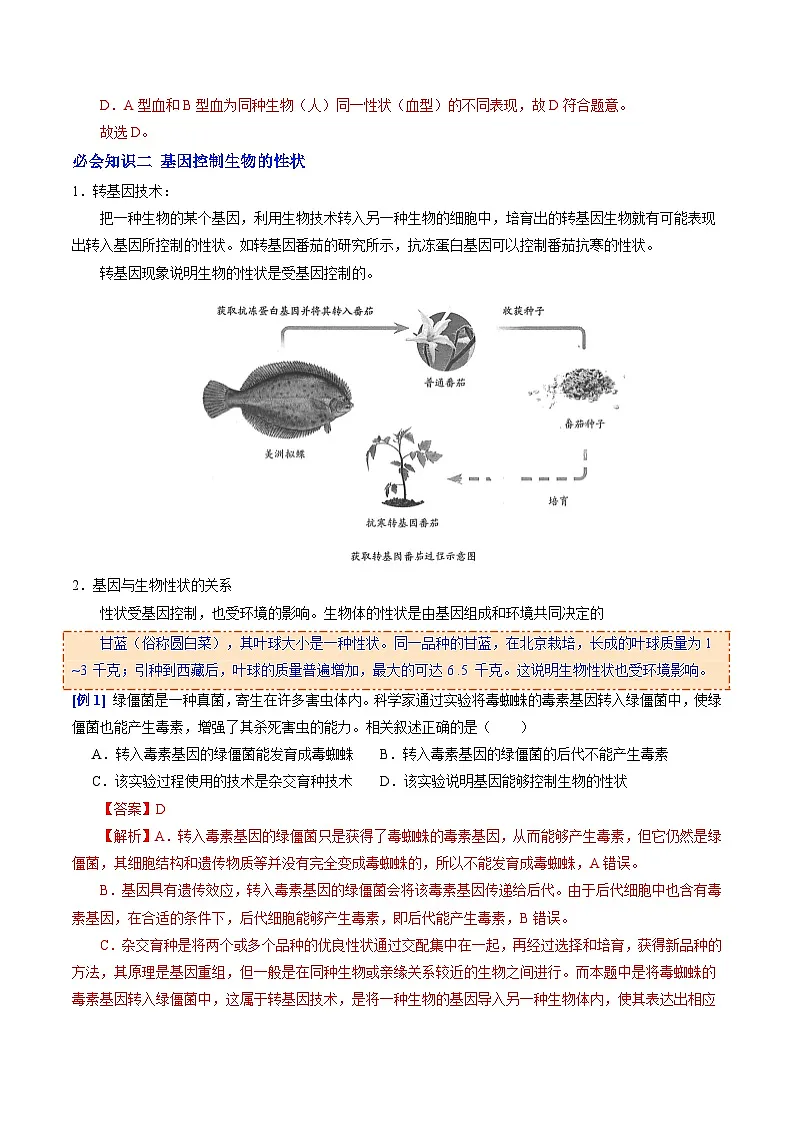 6.2.1 基因与生物性状的关系（提升讲义）生物新教材人教版八年级下册（解析版）第2页
