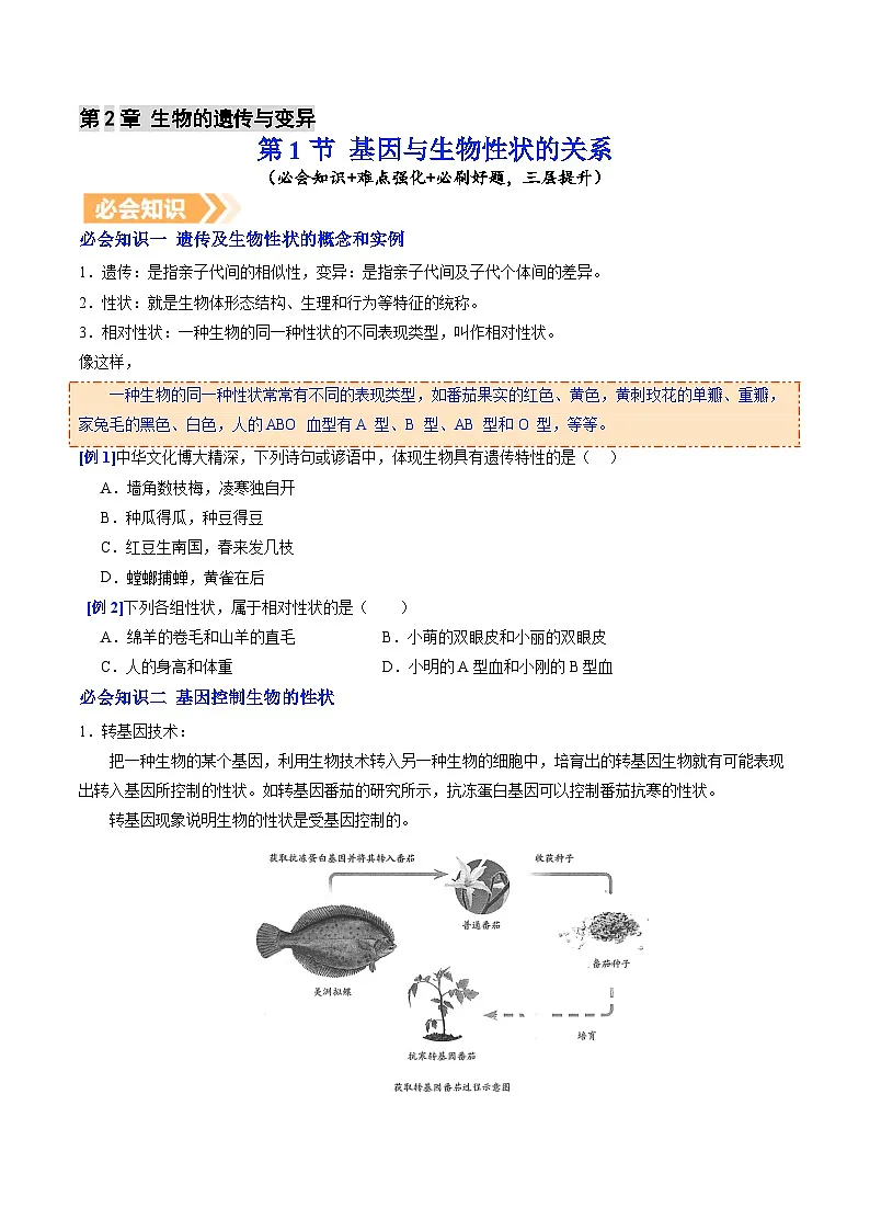 6.2.1 基因与生物性状的关系（提升讲义）生物新教材人教版八年级下册（原卷版）第1页