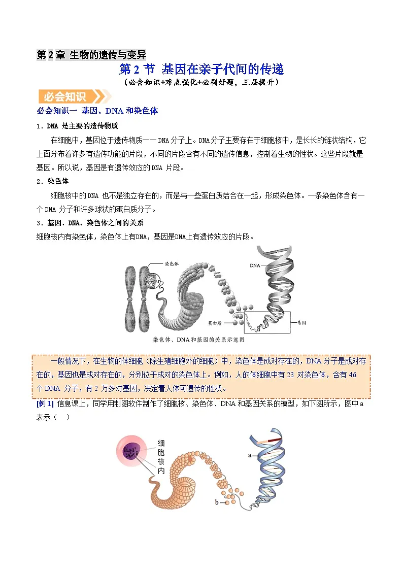 6.2.2 基因在亲子代间的传递（提升讲义）生物新教材人教版八年级下册（原卷版）第1页