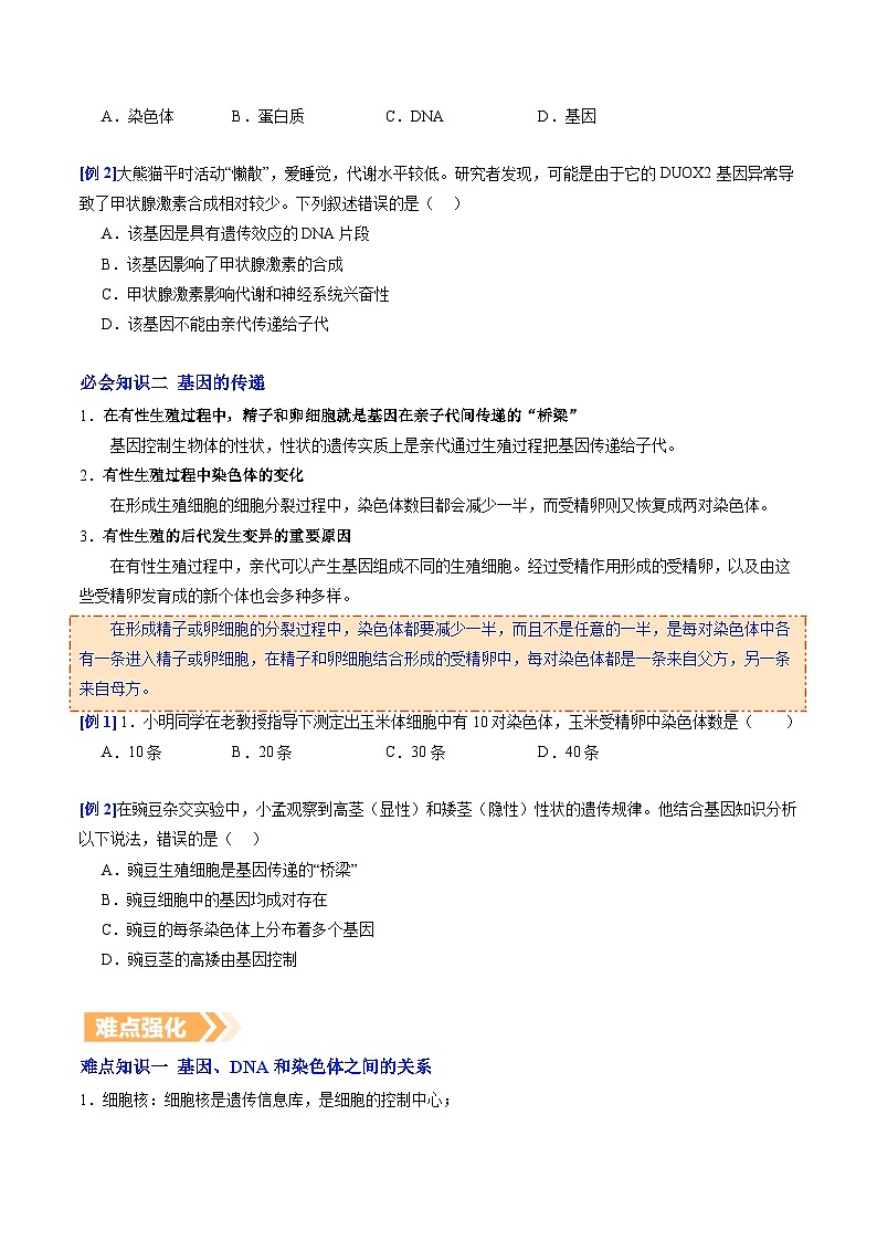 6.2.2 基因在亲子代间的传递（提升讲义）生物新教材人教版八年级下册（原卷版）第2页