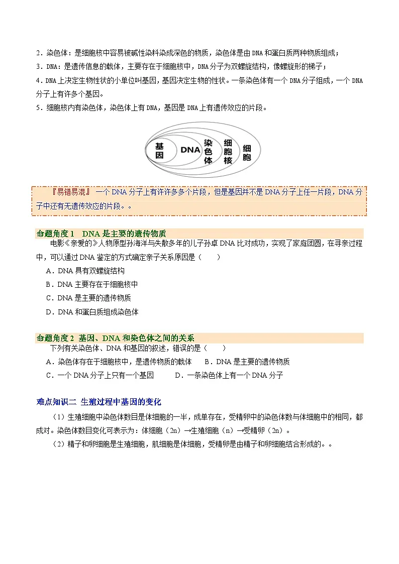 6.2.2 基因在亲子代间的传递（提升讲义）生物新教材人教版八年级下册（原卷版）第3页