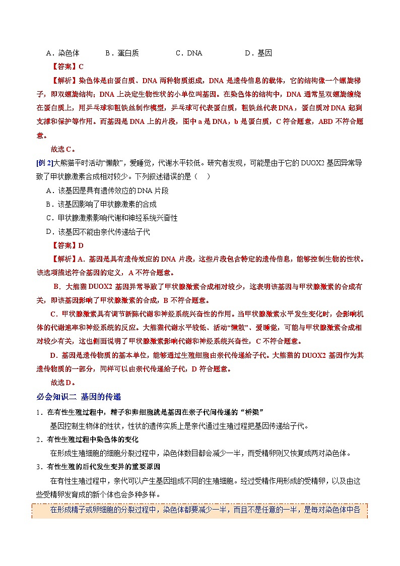 6.2.2 基因在亲子代间的传递（提升讲义）生物新教材人教版八年级下册（解析版）第2页